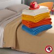 Immagine di Coperta Ignifuga Tecla 350